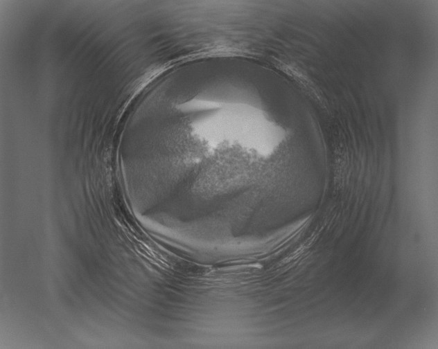 X0000051271170200507011737
