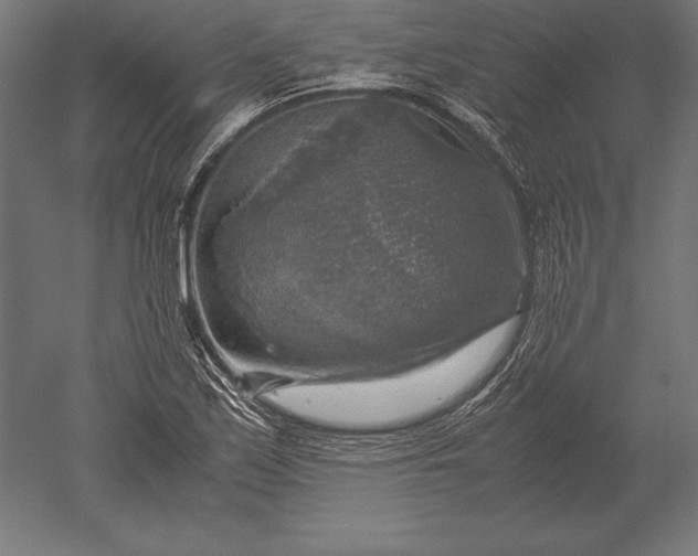 X0000051271171200507011737