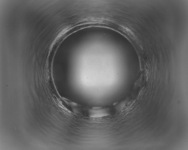X0000051271172200507011737