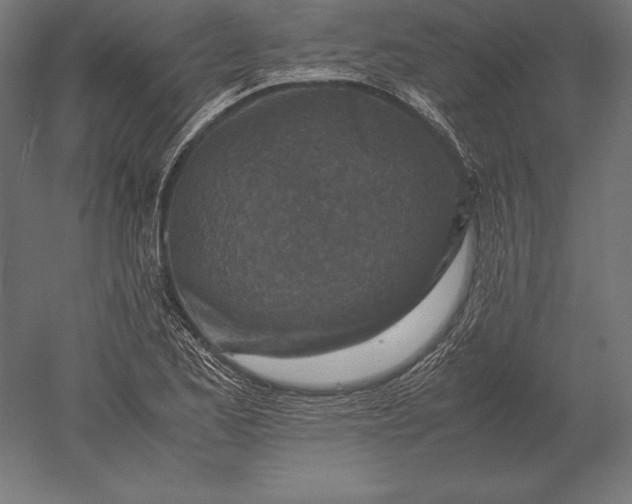 X0000051271173200507011737