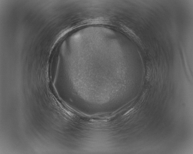 X0000051271174200507011737