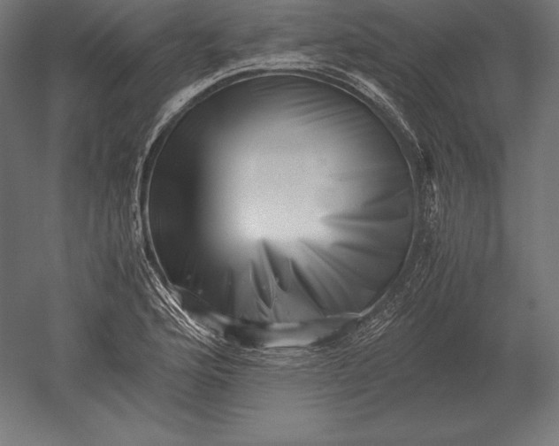X0000051271176200507011737