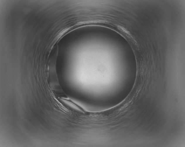 X0000051271177200507011737