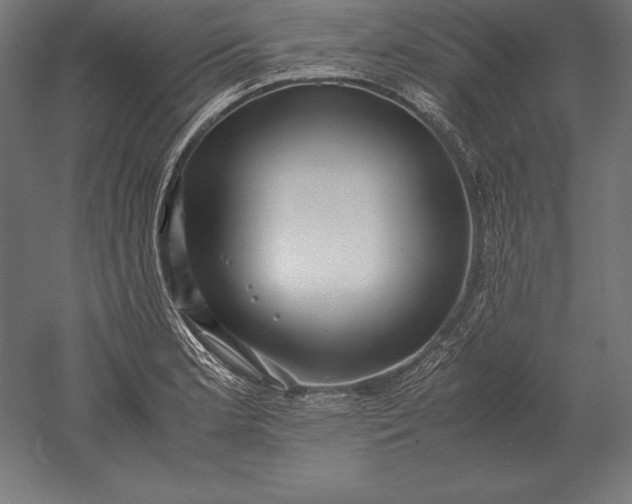 X0000051271181200507011737