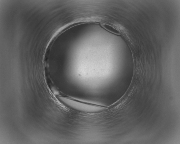 X0000051271184200507011737