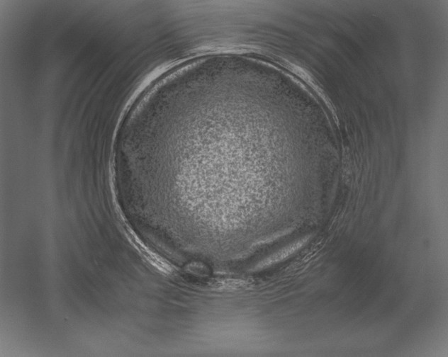 X0000051271187200507011737