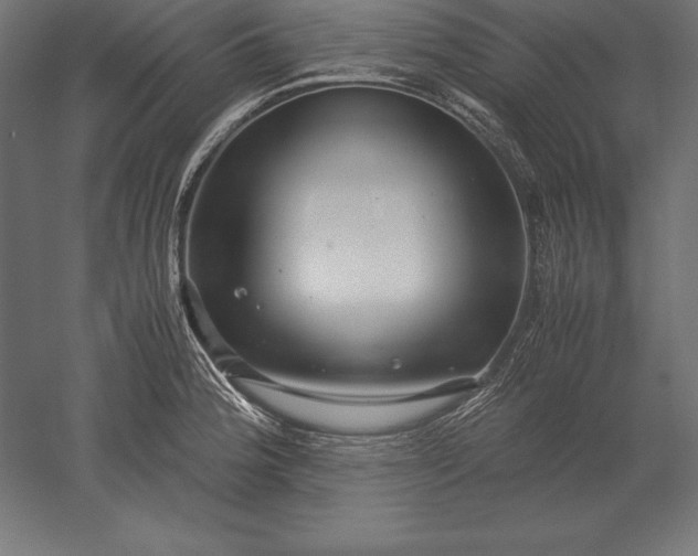 X0000051271188200507011737