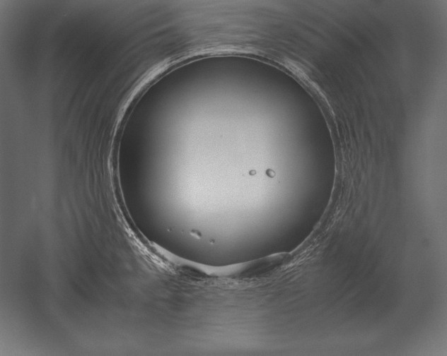 X0000051271189200507011737