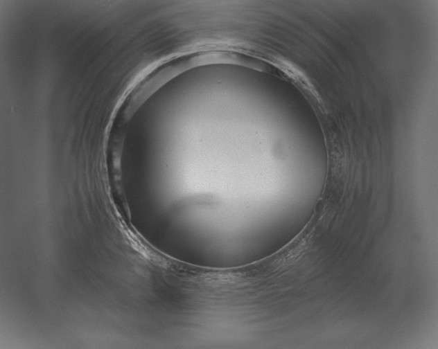 X0000051271192200507011737