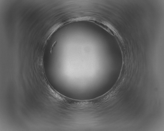 X0000051271193200507011737