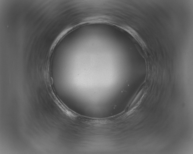 X0000051271196200507011736