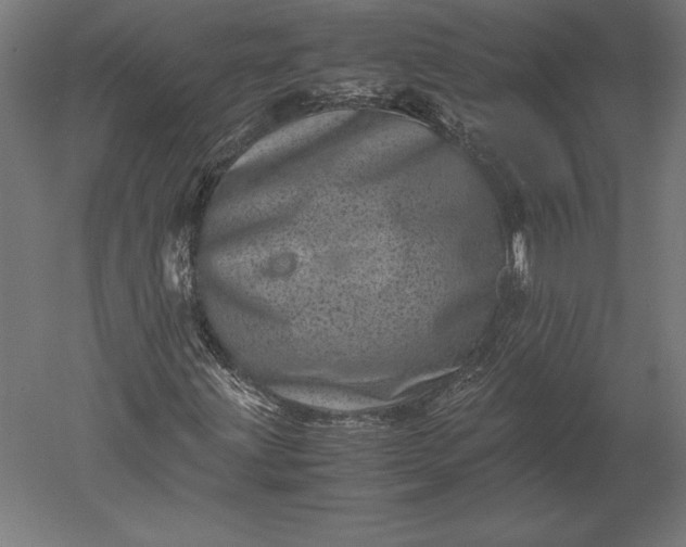 X0000051271203200507011736