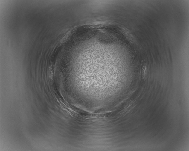 X0000051271204200507011736