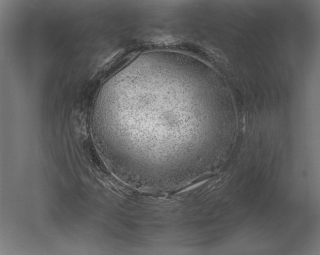 X0000051271205200507011736
