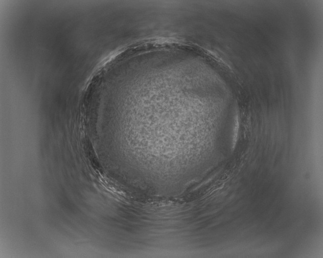X0000051271207200507011736