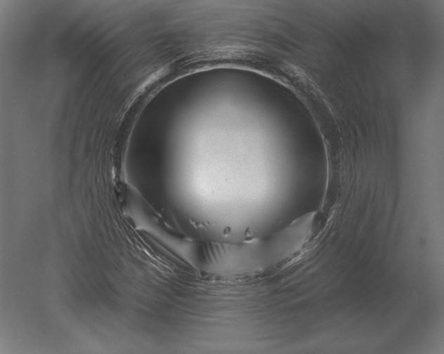X0000051271210200507011736