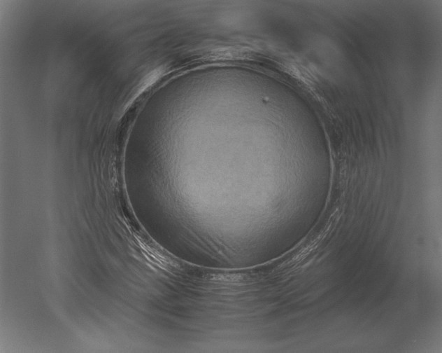 X0000051271211200507011736