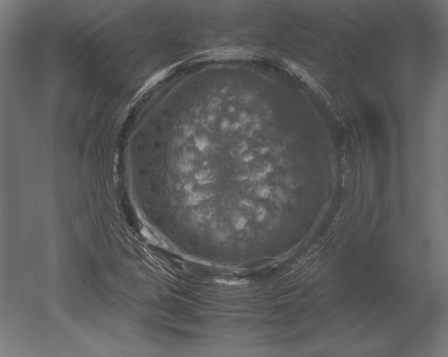 X0000051271213200507011736