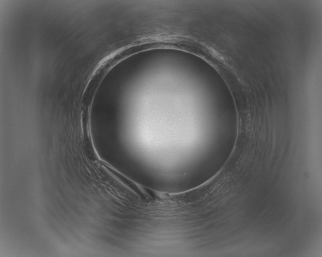 X0000051271214200507011736