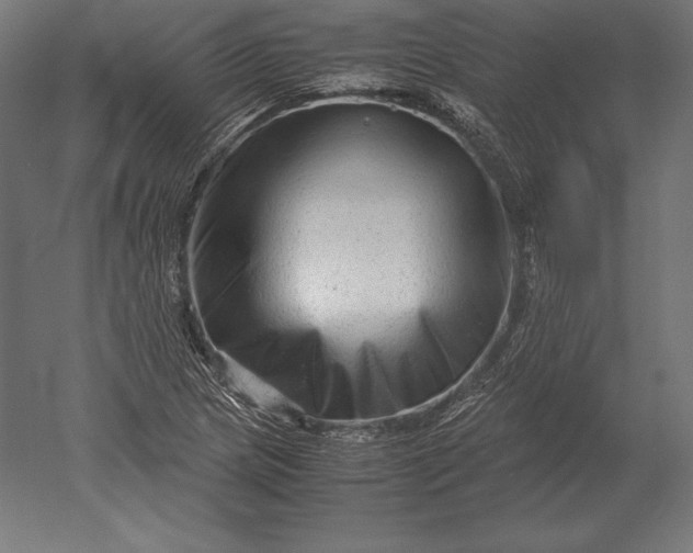 X0000051271217200507011736