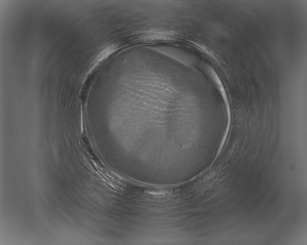 X0000051271219200507011736