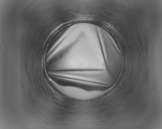 X0000051271220200507011736