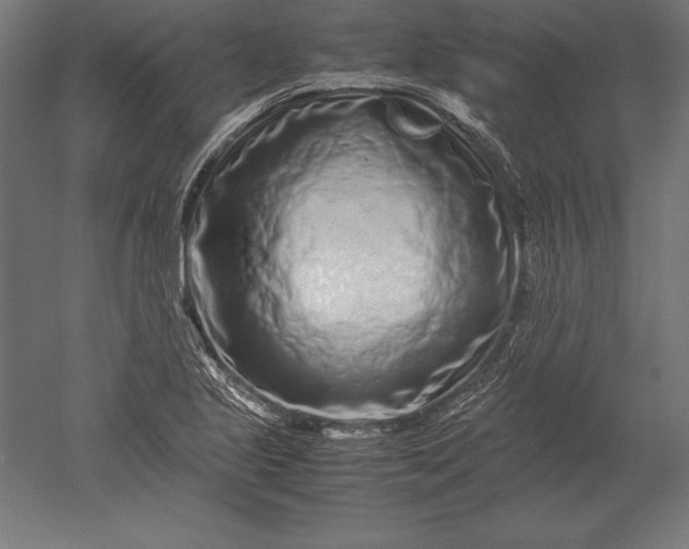X0000051271221200507011736