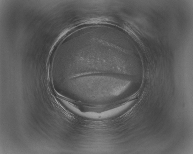 X0000051271224200507011736