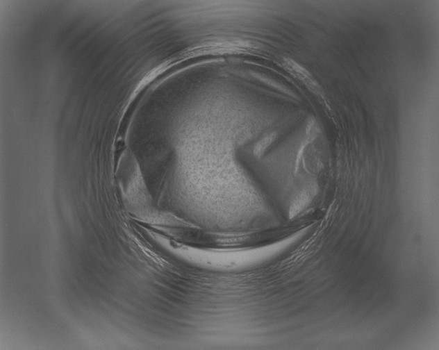 X0000051271226200507011736