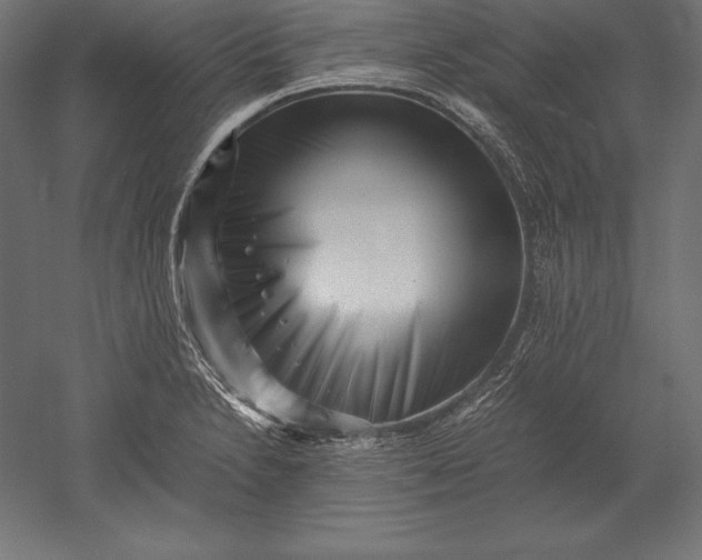X0000051271230200507011736