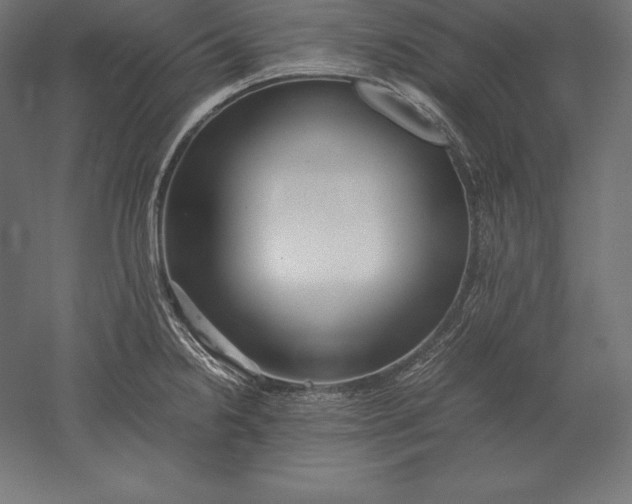 X0000051271238200507011736
