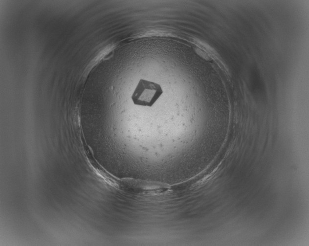 X0000051271241200507011736