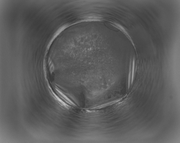 X0000051271243200507011736