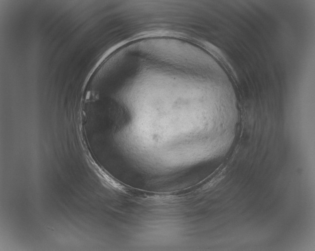 X0000051271244200507011736