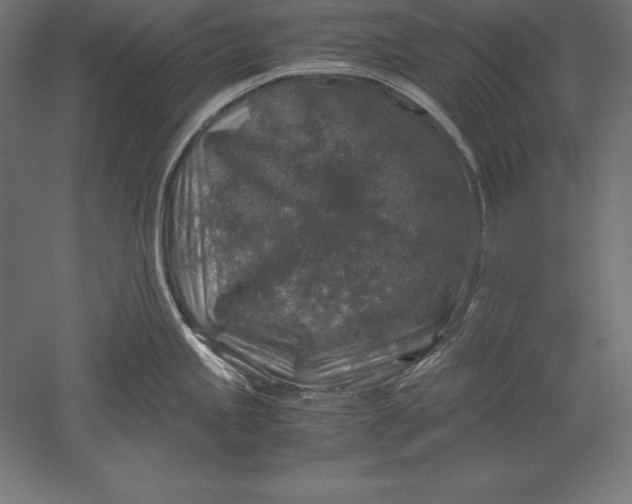 X0000051271245200507011736