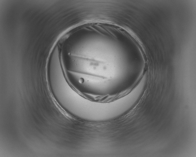 X0000051271246200507011736