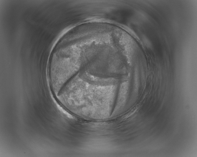 X0000051271247200507011736