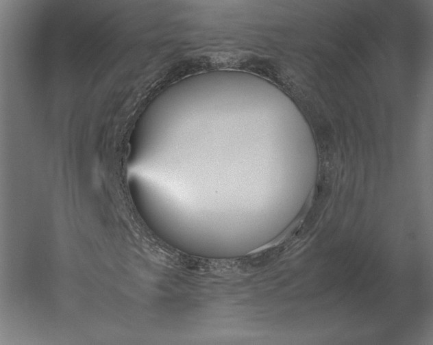 X0000051271249200507011736
