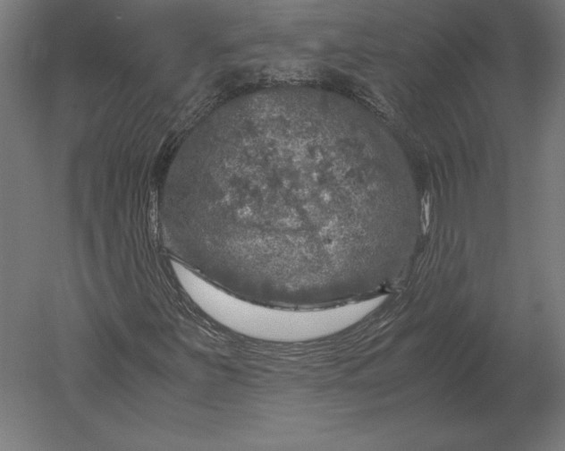 X0000051271251200507011736
