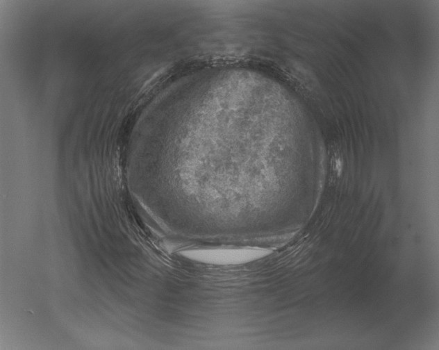 X0000051271252200507011736