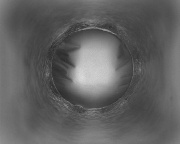X0000051271253200507011736