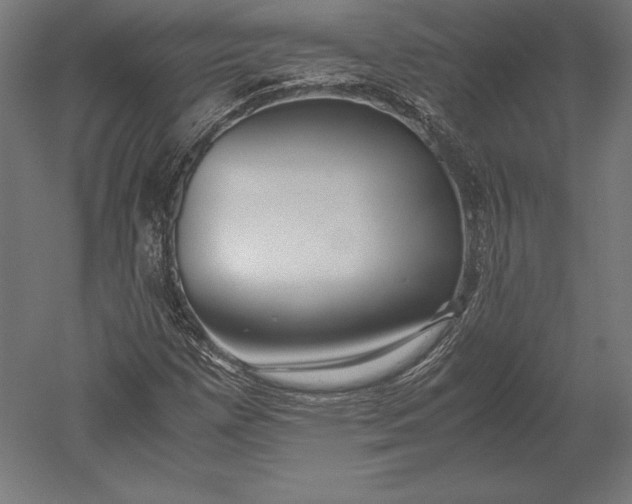 X0000051271257200507011735