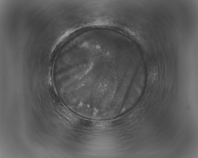 X0000051271262200507011735