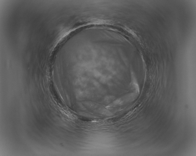 X0000051271263200507011735