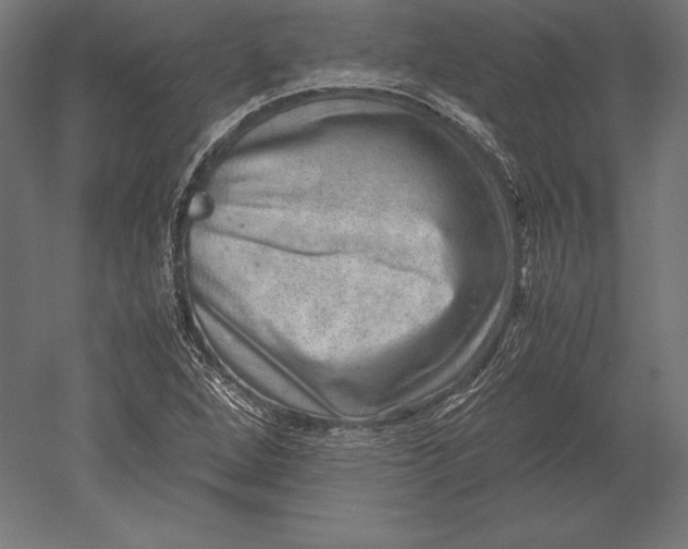 X0000051271264200507011735