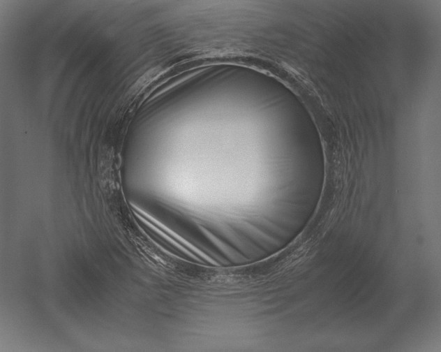 X0000051271265200507011735