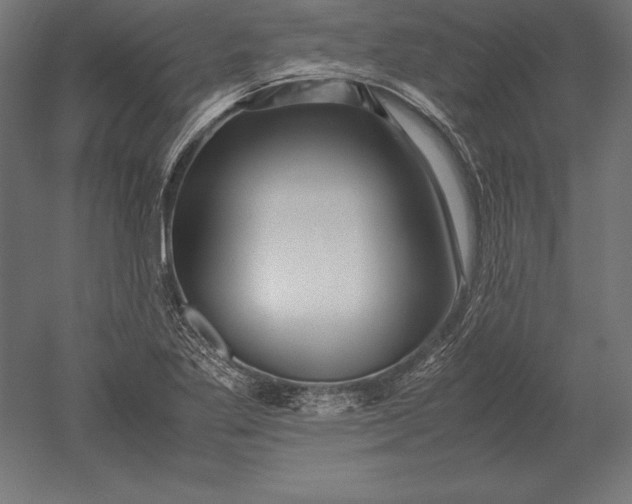 X0000051271269200507011735