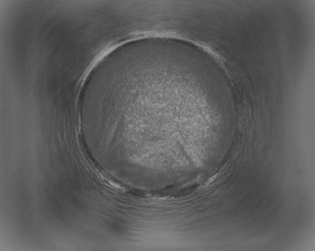 X0000051271271200507011735