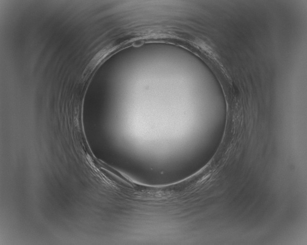 X0000051271273200507011735