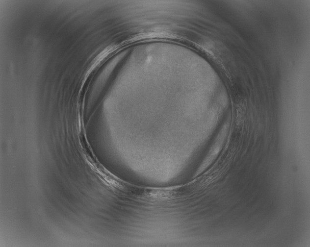 X0000051271274200507011735